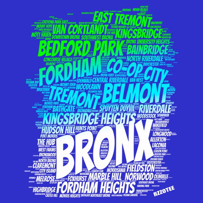 Boogie Down Bronx New York City Pride Map Area Like A Zoo Funny Gift 16 in Basic Backpack