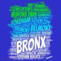 Boogie Down Bronx New York City Pride Map Area Like A Zoo Funny Gift Visor