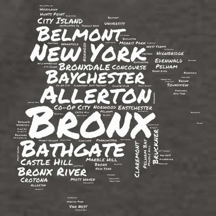 Boogie Down Bronx Neighborhoods Word Cloud Bronx New York Vector Backpack