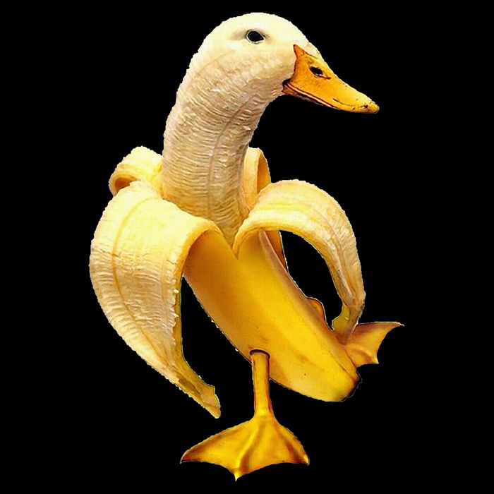 Banana Duck Drawstring Bag