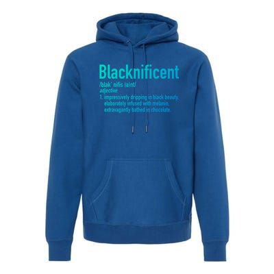 Blacknificent Definition Black History Black Pride Cool Gift Premium Hoodie