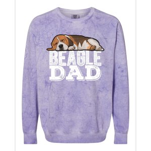 Beagle Dad Beagle Dog Lover Gift Colorblast Crewneck Sweatshirt