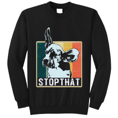 Beagle Dog Breed Tall Sweatshirt