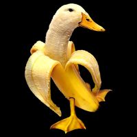 Banana Duck Impact Tech Backpack