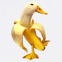 Banana Duck Button