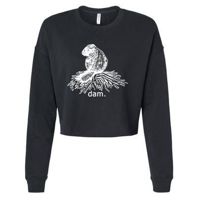 Beaver Dam Cropped Pullover Crew