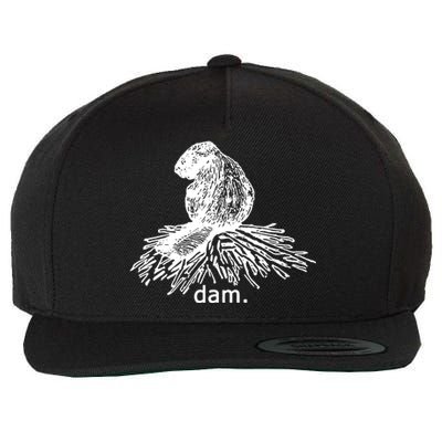 Beaver Dam Wool Snapback Cap