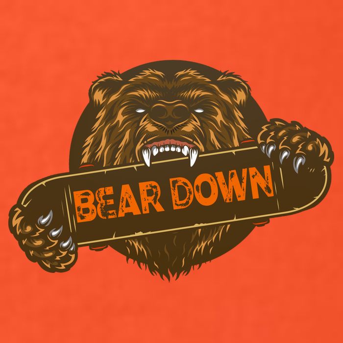 Bear Down Brown Bear Poster