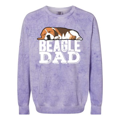 Beagle Dad Beagle Dog Lover Gift Premium Colorblast Crewneck Sweatshirt