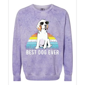 Beagle Dog Breed Funny Colorblast Crewneck Sweatshirt