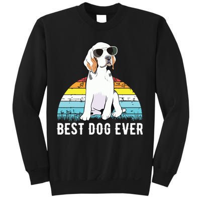 Beagle Dog Breed Funny Sweatshirt