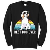 Beagle Dog Breed Funny Sweatshirt