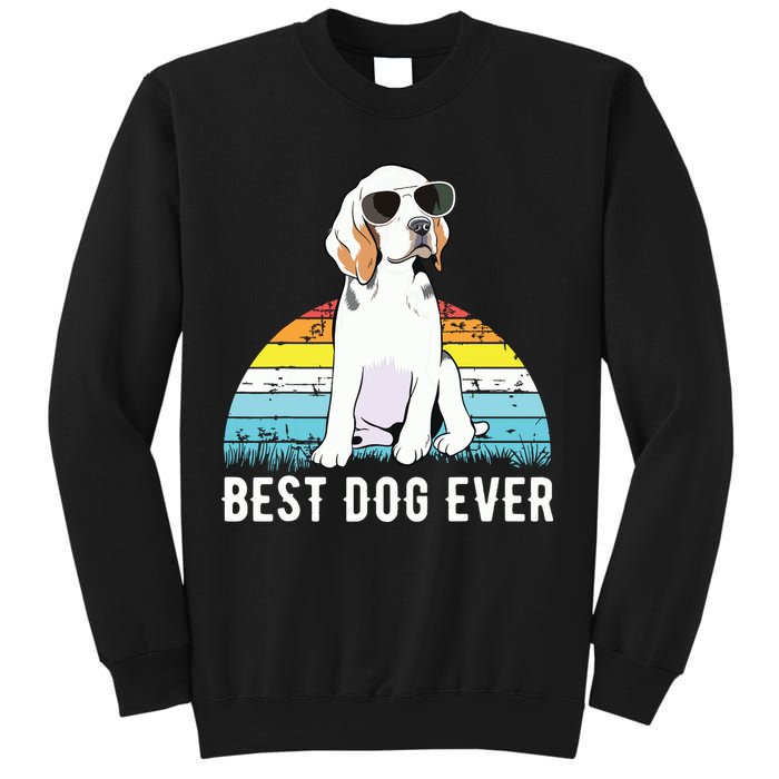 Beagle Dog Breed Funny Sweatshirt