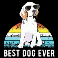 Beagle Dog Breed Funny Sweatshirt
