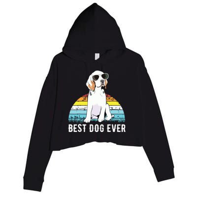 Beagle Dog Breed Funny Crop Fleece Hoodie