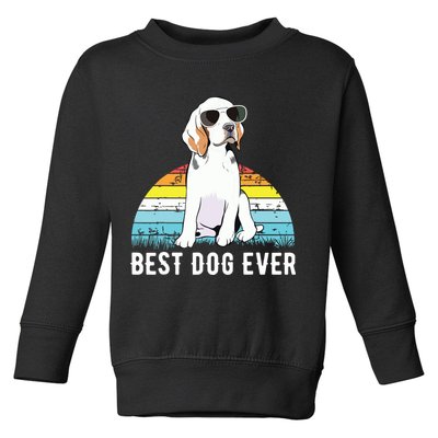 Beagle Dog Breed Funny Toddler Sweatshirt
