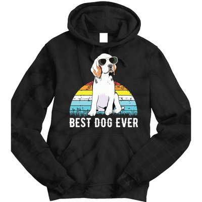 Beagle Dog Breed Funny Tie Dye Hoodie