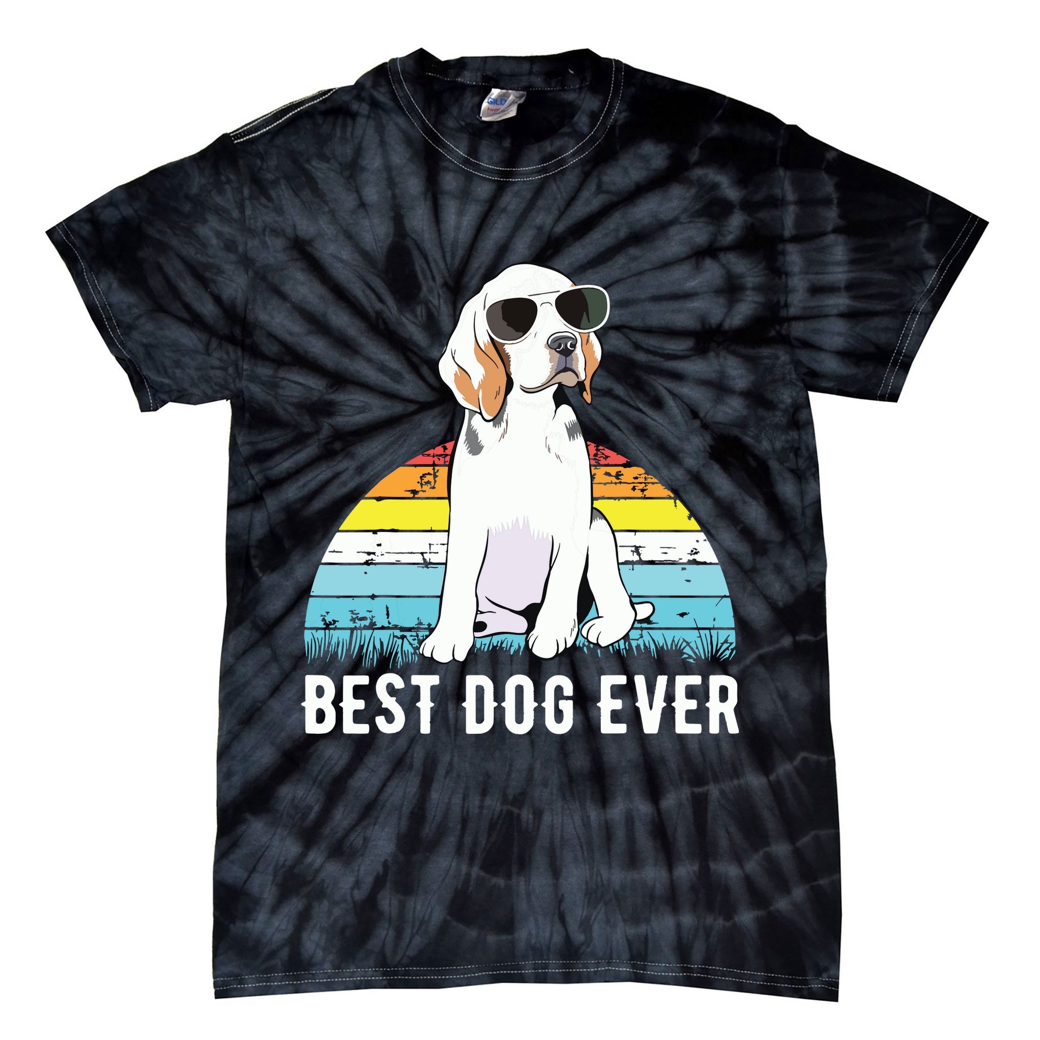 Beagle Dog Breed Funny Tie-Dye T-Shirt