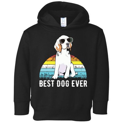 Beagle Dog Breed Funny Toddler Hoodie