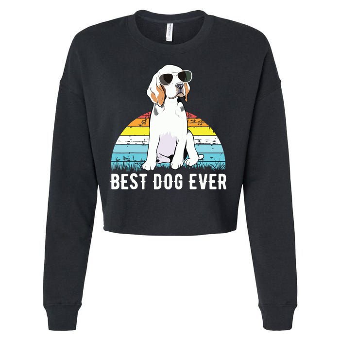 Beagle Dog Breed Funny Cropped Pullover Crew