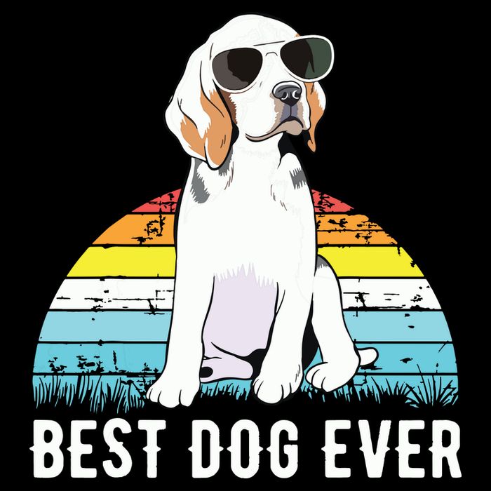Beagle Dog Breed Funny Cropped Pullover Crew