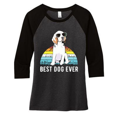 Beagle Dog Breed Funny Women's Tri-Blend 3/4-Sleeve Raglan Shirt