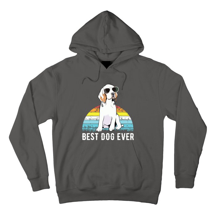 Beagle Dog Breed Funny Hoodie