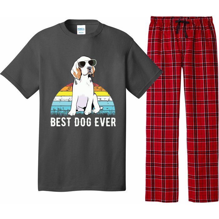 Beagle Dog Breed Funny Pajama Set