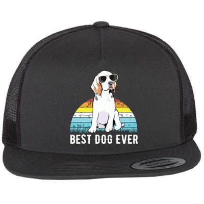 Beagle Dog Breed Funny Flatbill Hat