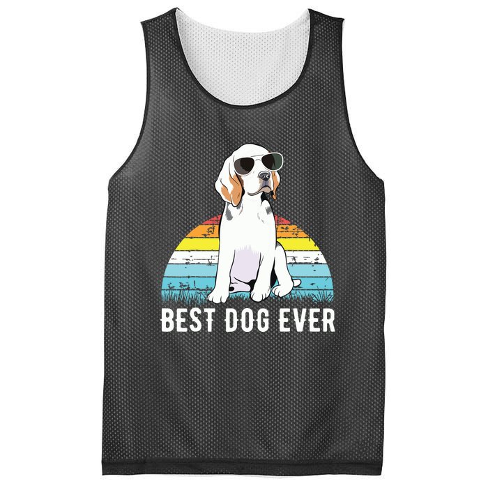 Beagle Dog Breed Funny Mesh Reversible Basketball Jersey Tank