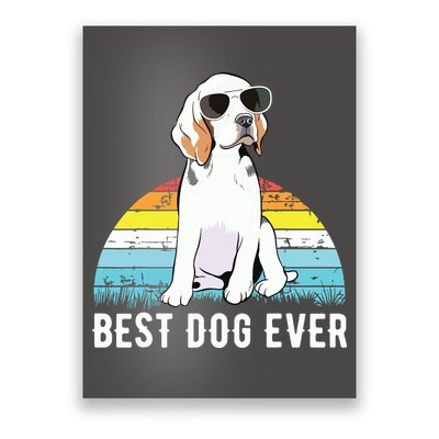 Beagle Dog Breed Funny Poster