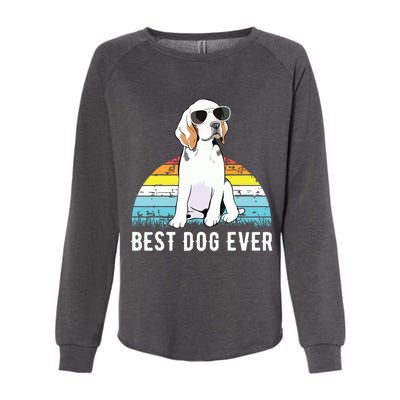 Beagle Dog Breed Funny Womens California Wash Sweatshirt