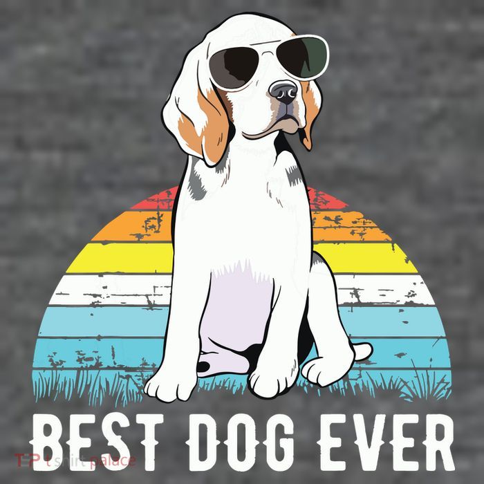 Beagle Dog Breed Funny Premium T-Shirt