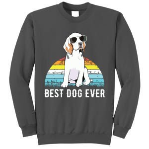 Beagle Dog Breed Funny Tall Sweatshirt