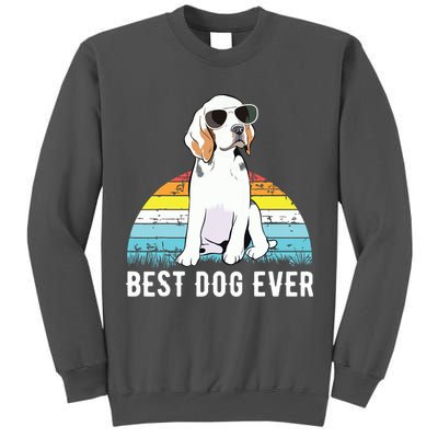 Beagle Dog Breed Funny Tall Sweatshirt
