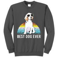 Beagle Dog Breed Funny Tall Sweatshirt