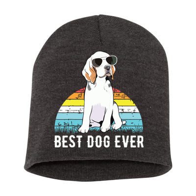Beagle Dog Breed Funny Short Acrylic Beanie