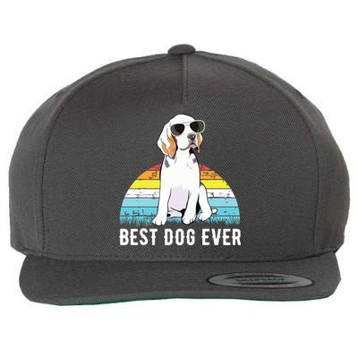 Beagle Dog Breed Funny Wool Snapback Cap