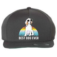 Beagle Dog Breed Funny Wool Snapback Cap