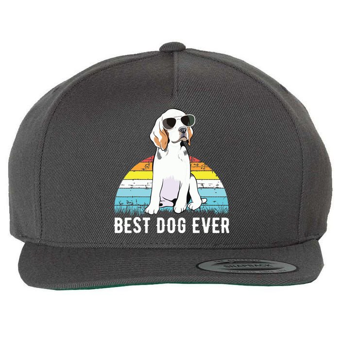 Beagle Dog Breed Funny Wool Snapback Cap