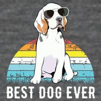 Beagle Dog Breed Funny Wool Snapback Cap