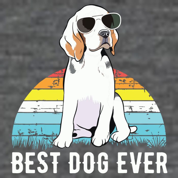 Beagle Dog Breed Funny Wool Snapback Cap