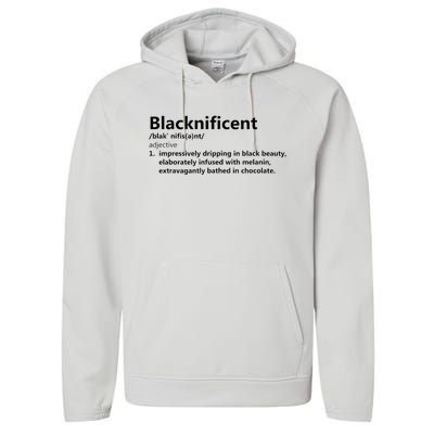 Blacknificent Definition Culture Heritage Empower Pride Love Performance Fleece Hoodie