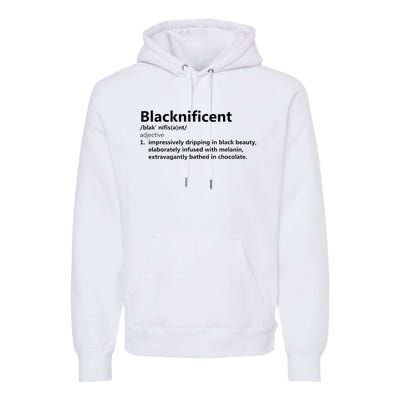 Blacknificent Definition Culture Heritage Empower Pride Love Premium Hoodie