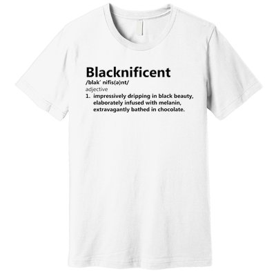 Blacknificent Definition Culture Heritage Empower Pride Love Premium T-Shirt