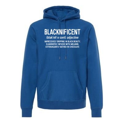 Blacknificent Definition Cool Gift Black History Month Gift Funny Gift Premium Hoodie