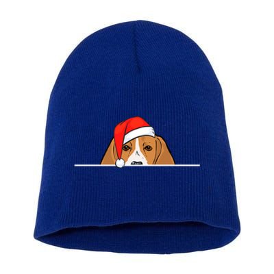 Beagle Dog Christmas Funny Gift Short Acrylic Beanie