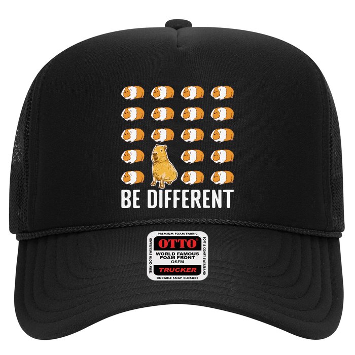 Be Different Capybaras Funny Rodent Capybara Hat