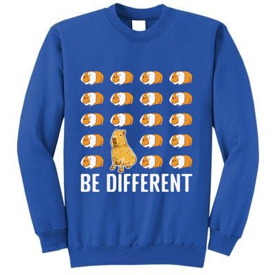 Be Different Capybaras Funny Rodent Capybara Sweatshirt