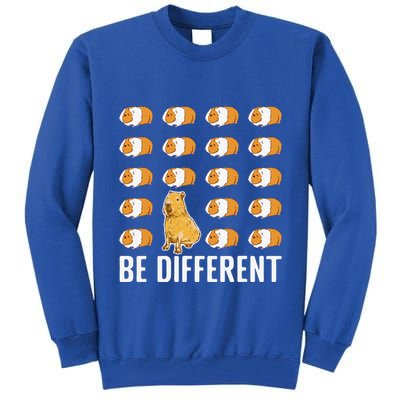Be Different Capybaras Funny Rodent Capybara Tall Sweatshirt